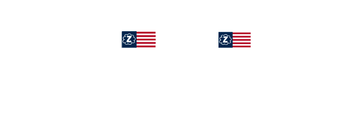 Zgirls logo